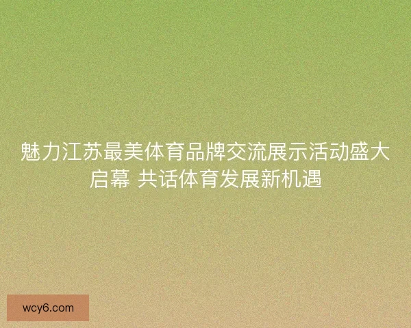 魅力江苏最美体育品牌交流展示活动盛大启幕 共话体育发展新机遇