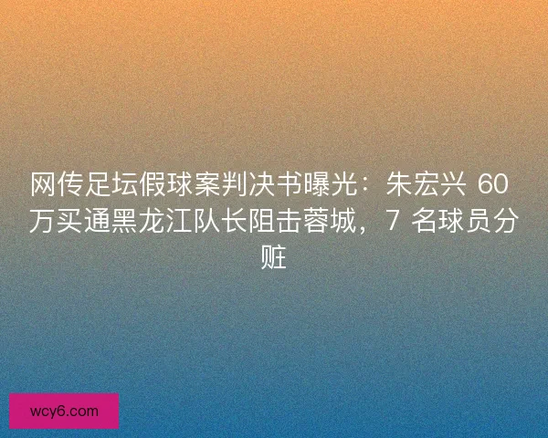 网传足坛假球案判决书曝光：朱宏兴 60 万买通黑龙江队长阻击蓉城，7 名球员分赃